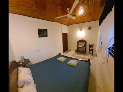 Hostal Room In Bb - The Green Villa Tea Plantations 2