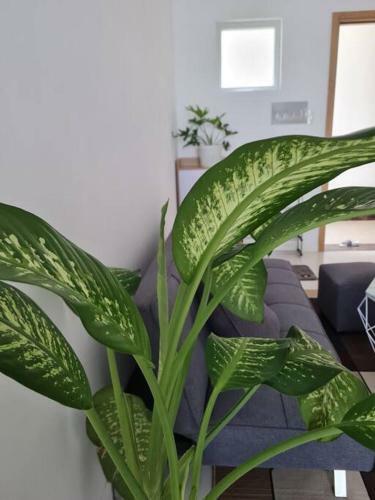 Apartamento M?c Homestay 4