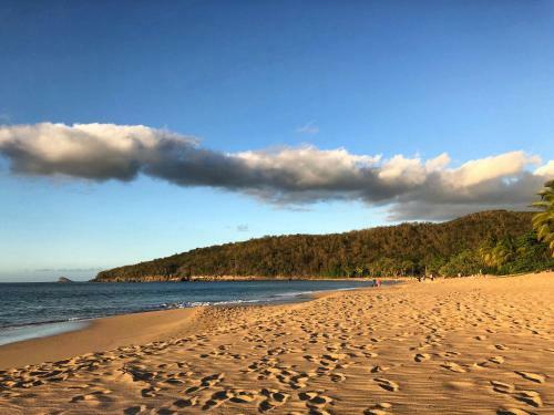 Hostal Le Surf Lodge Vue Mer Dans Un �crin De Verdure