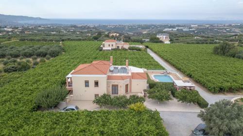 Cretan Vineyard Hill Villa II