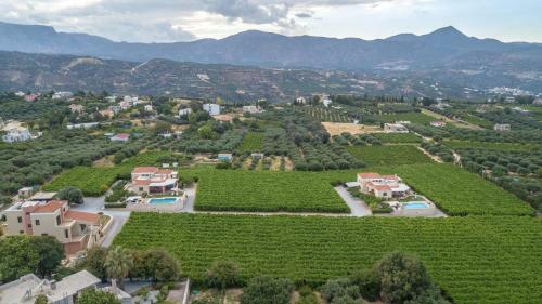 Cretan Vineyard Hill Villa II