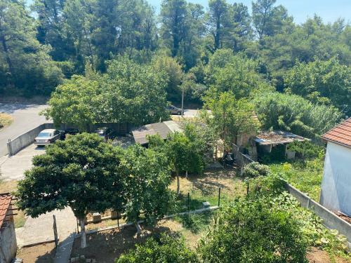 Apartment Ceman
