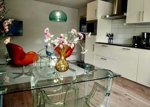 Apartamento B&B Appelscha