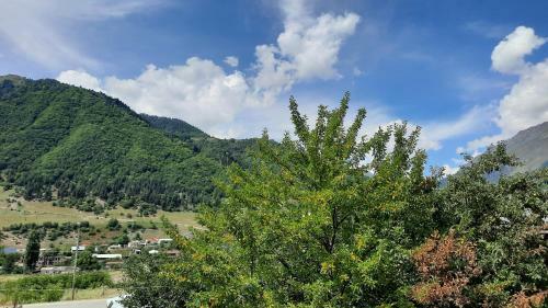Cottage In Mestia