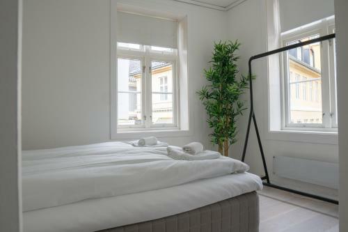 The Apartments - Strandgaten