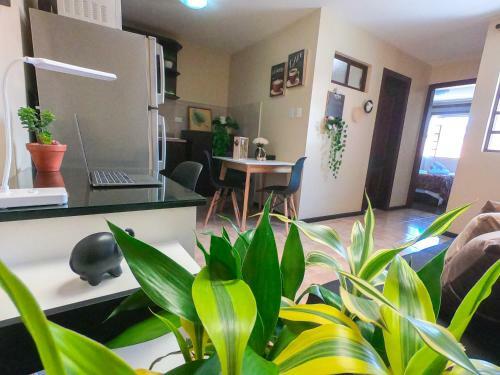 Apartamento (green Suite) Hermano Miguel