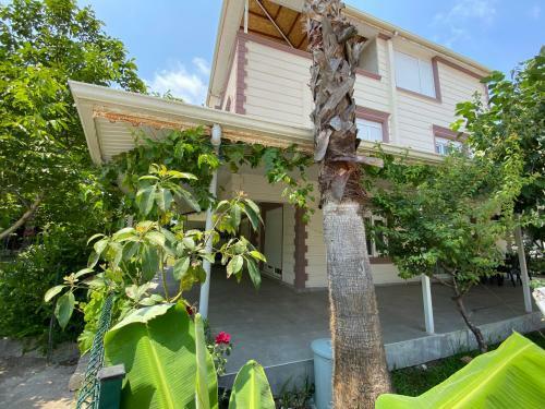 Luxery Villa With 3 Bedrooms