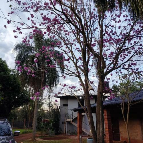 Apartamento Naturalis Flats And Suites