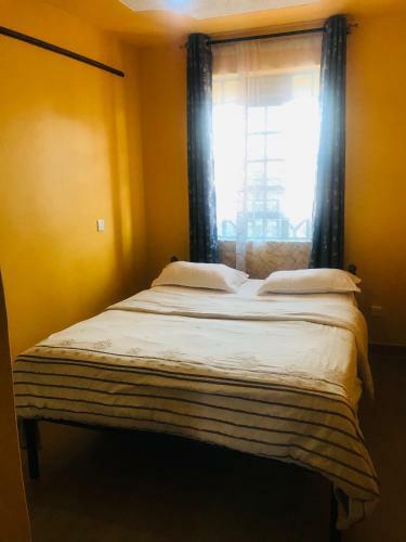 Comfy One Bedroom Apartment0790688641