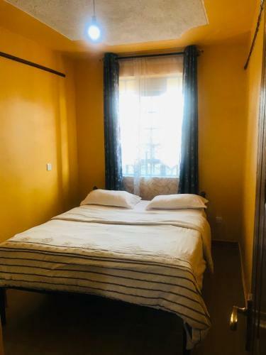 Comfy One Bedroom Apartment0790688641