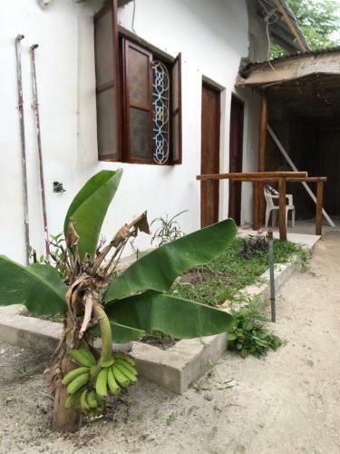 Hostal Jagwa Beach Guest House