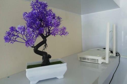 Luxury Studio Room @ Tifolia Apartment
