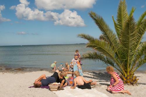 Frederikshavn Nordstrand Camping & Cottages