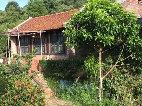 Lodge Nh� C? T? Vi?n Xanh