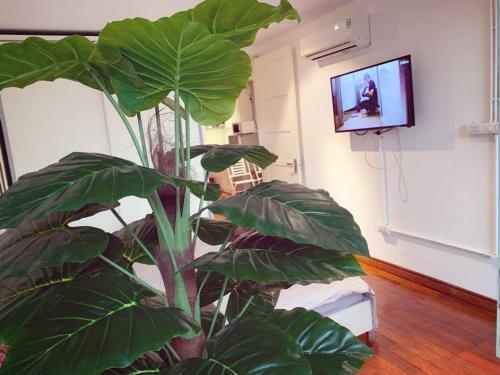 Mayhouse - Cozy Harmony 02