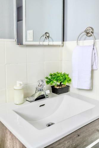 Apartamento Bright 1br Apt W King Bed -close To Dt Hamilton