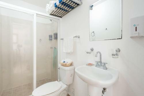 Apartamento New Ampartment For Rent