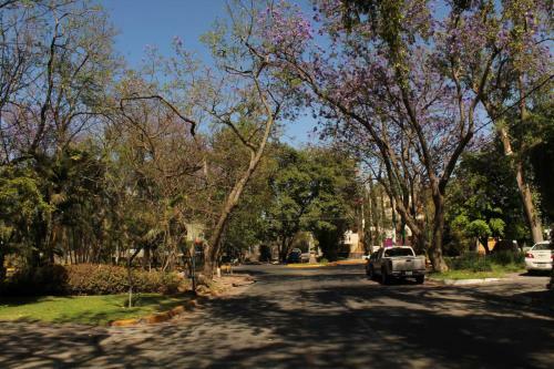 Apartamento Estudio 3 /glorieta Chapalita