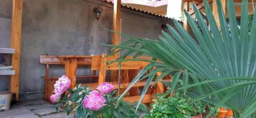 Hostal Guest House Perla