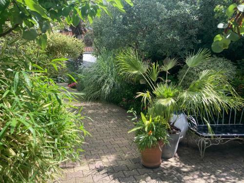 Maisonnette Studio Arcachon 300m Plage