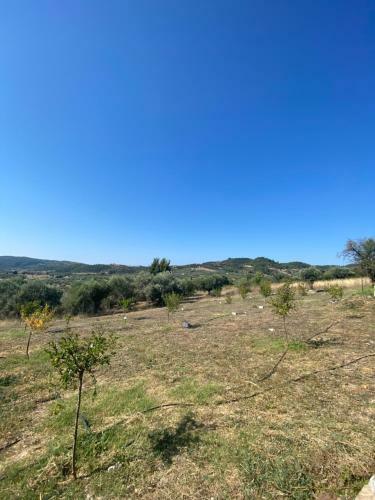 Moi Country Villa