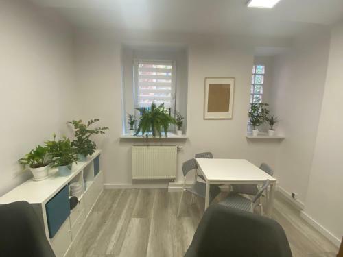 Chodkiewicza 14 - Apartament Bydgoszcz
