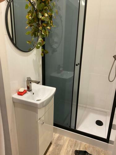 Chodkiewicza 14 - Apartament Bydgoszcz