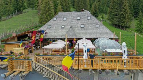 Hostal Casa Razesului