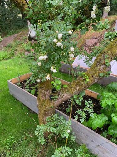 Villa Charmigt Hus I Skogen, Men Mitt I Stan