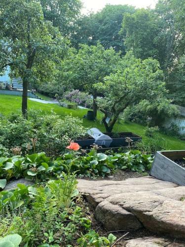 Villa Charmigt Hus I Skogen, Men Mitt I Stan