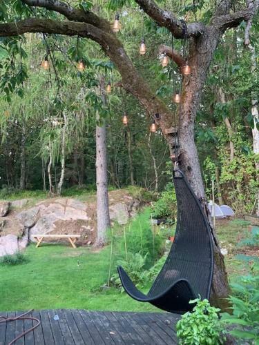 Villa Charmigt Hus I Skogen, Men Mitt I Stan