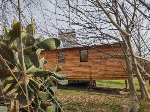 Tiny Ecohousetandil