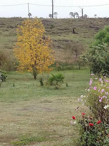 Herencia Nativa