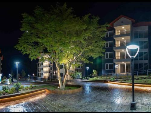 Apartamento C�modo Y Acogedor Departamento Pucon Chile
