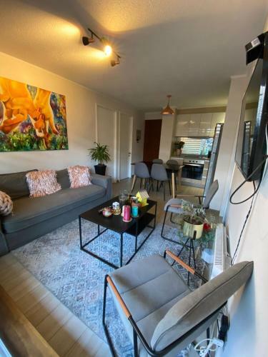 Apartamento Vive Puc�n Sin Auto