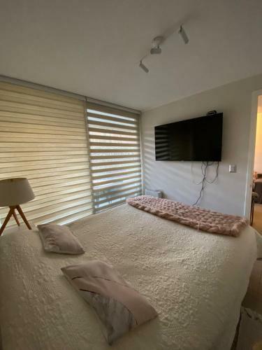Apartamento Vive Puc�n Sin Auto