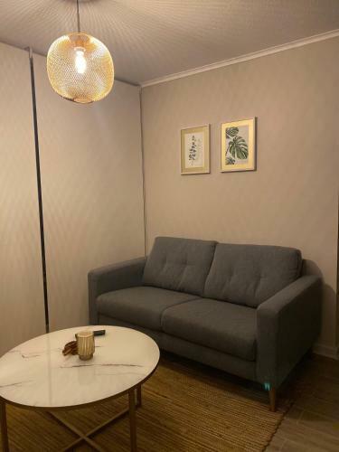 Apartamento C�modo Y Acogedor Departamento Pucon Chile