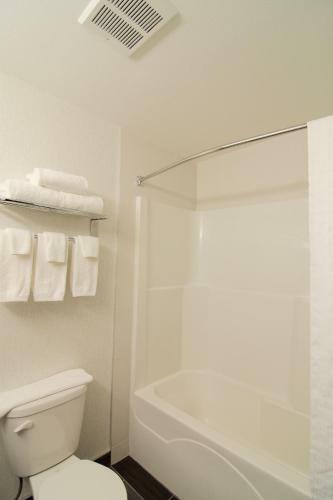 Hotel Paradise Inn And Suites