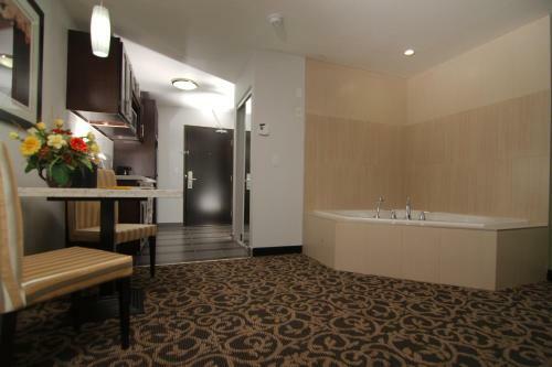 Hotel Paradise Inn And Suites