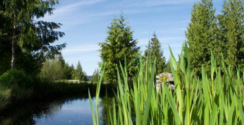 Cedar Park Resort And Golfing