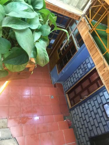 Sapa Chaotic Homestay