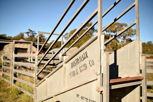 Somerton Park: Idyllic Escape In The Highlands