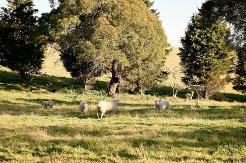 Somerton Park: Idyllic Escape In The Highlands