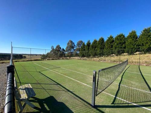 Somerton Barn: Alpacas, Cattle & Amazing Views