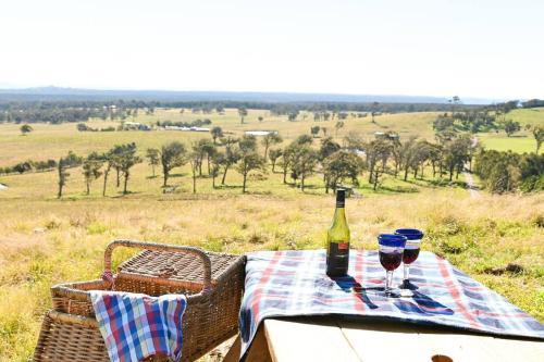 Somerton Barn: Alpacas, Cattle & Amazing Views