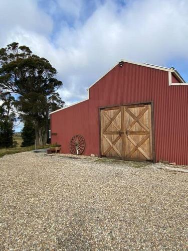 Somerton Barn: Alpacas, Cattle & Amazing Views