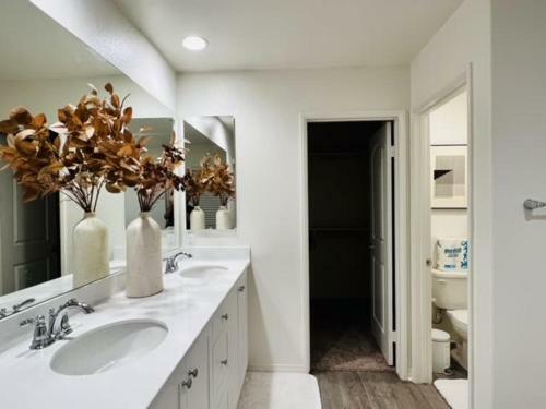 Brand New 3 Bedroom House