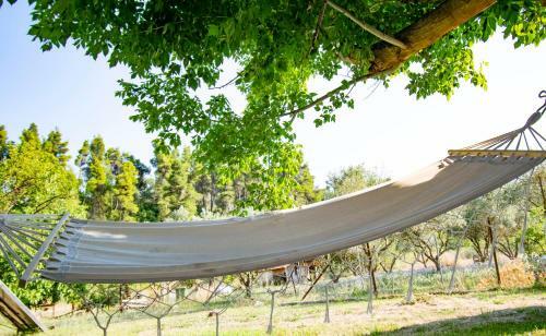 Forest View Apartments By Travel Pro Services - Fourka Halkidiki