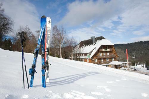 Hostal Hotel Adler B�rental