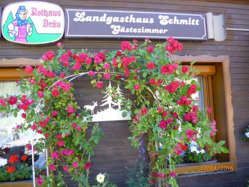 Hostal Landgasthaus Gemsennest